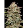 Banana OG, Фасовка: 3, изображение 2
